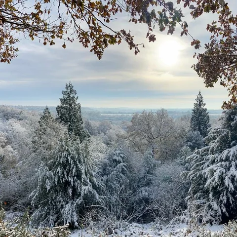 Volunteers caring for habitats on Rusthall Common