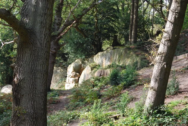 Ancient sandstone gorge, mossy crags and woodland canopy in Happy Valley on Tunbridge Wells Common