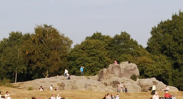 Ancient Ardingly sandstone rocks and woodland canopy on Tunbridge Wells Common
